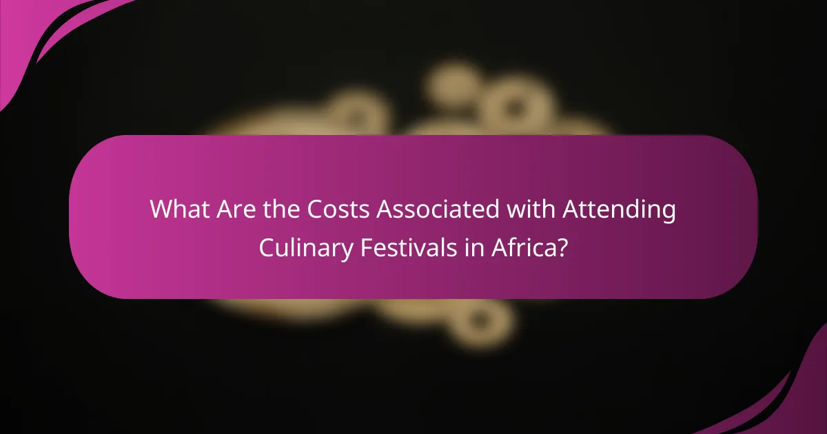 What Are the Costs Associated with Attending Culinary Festivals in Africa?